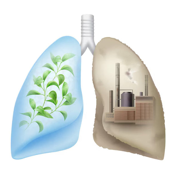 Maximize Your Lung Capacity