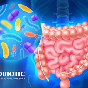 Gut Microbiome and Coeliac Disease